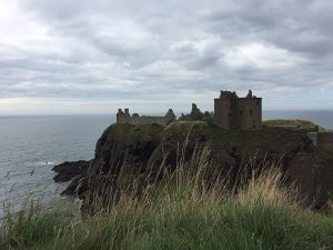 photograph of a ruined castle on a cliff overlooking the sea with tall grass in the foreground