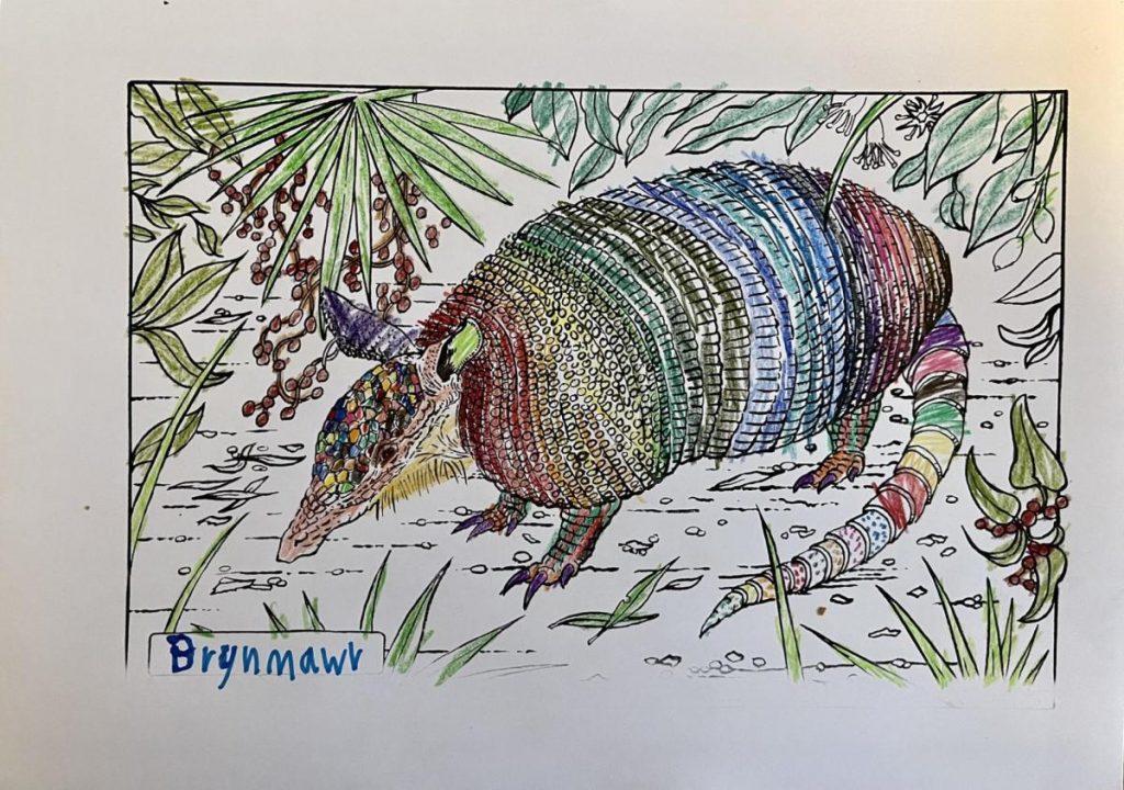 Colouring page of an armadillo in the middle of foliage. Coloured in in different patterns in all the colours of the rainbow. The nametag on the left says "Brynmawr".