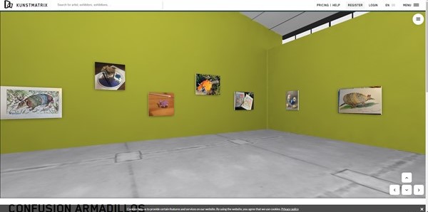 View of the virtual Gallery of Armadillos at ConFusion. The images are hung on light green walls, and the floor is grey.