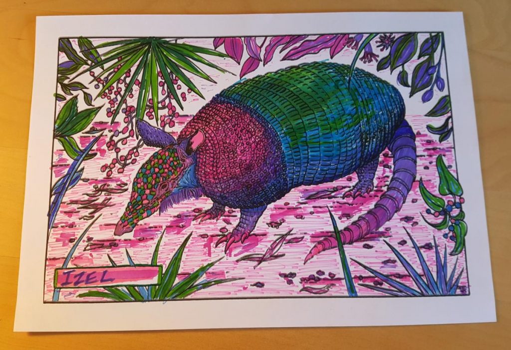 Colouring page of an armadillo looking to the left in the middle of foliage. The colouring is done in pinks, purples, greens and blues. The nametag on the left says "IZEL".