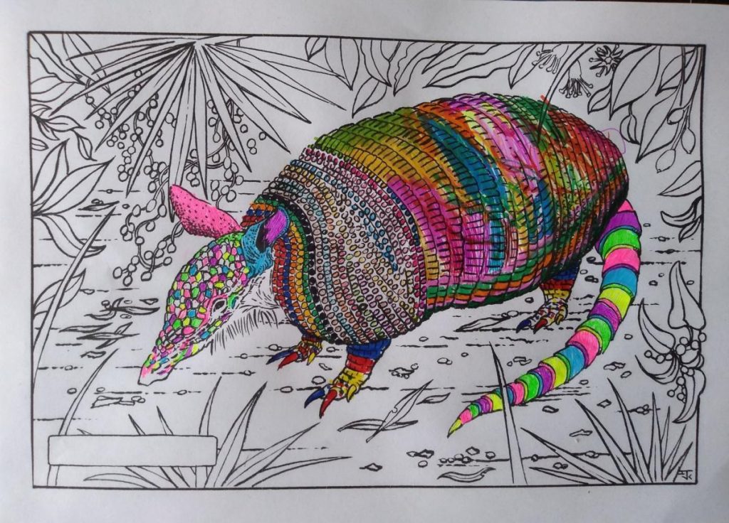 Colouring page of an armadillo in the middle of foliage. The head and tail are coloured in bright neon colours, the body is a bit more muted.