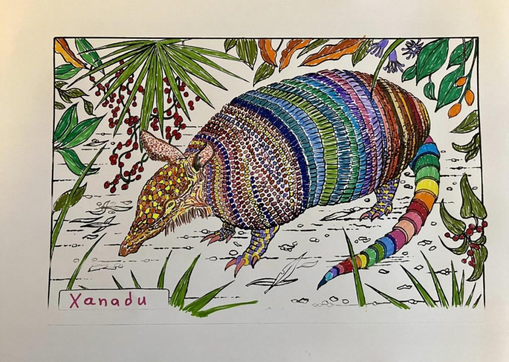 Colouring page of an armadillo in the middle of foliage. The head armour in mottled browns and yellows, the body armour in stripes of mostly muted coulours, and the tail in rainbow colours. The nametag on the lower left says "Xanadu".