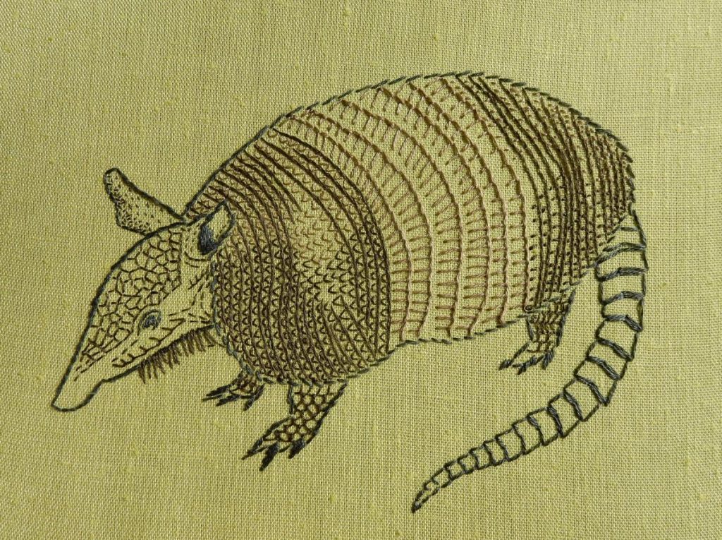 An armadillo looking to the left, embroidered in browns and greys on a light green fabric.