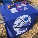 Photograph of a fan table in Esther's backgarden. The image contains ribbons, badges and yarn.