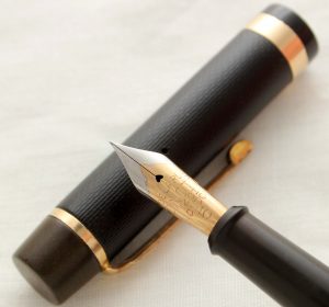 photograph of a fountain pen in a black case, its tip balanced on its cap