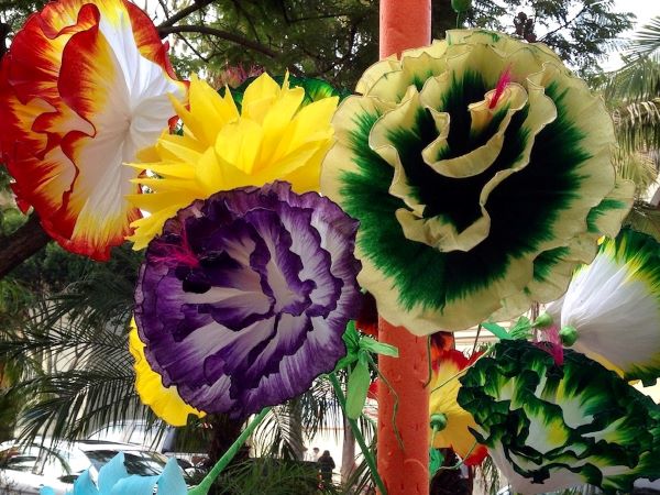 Mexican Paper Flowers, from "Call Me Grandma"